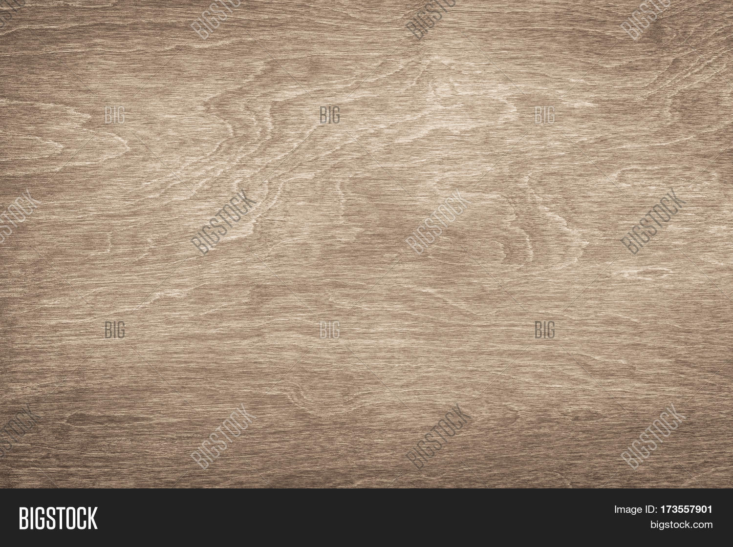 Light Wood Texture Light Wood Texture