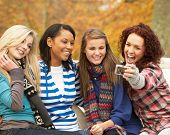 picture of laughter  - Group Of Four Teenage Girls Taking Picture With Camera Sitting On Bench In Autumn Park - JPG 