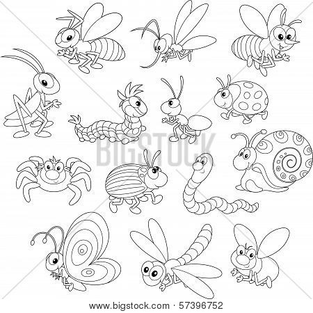Poster: Insects