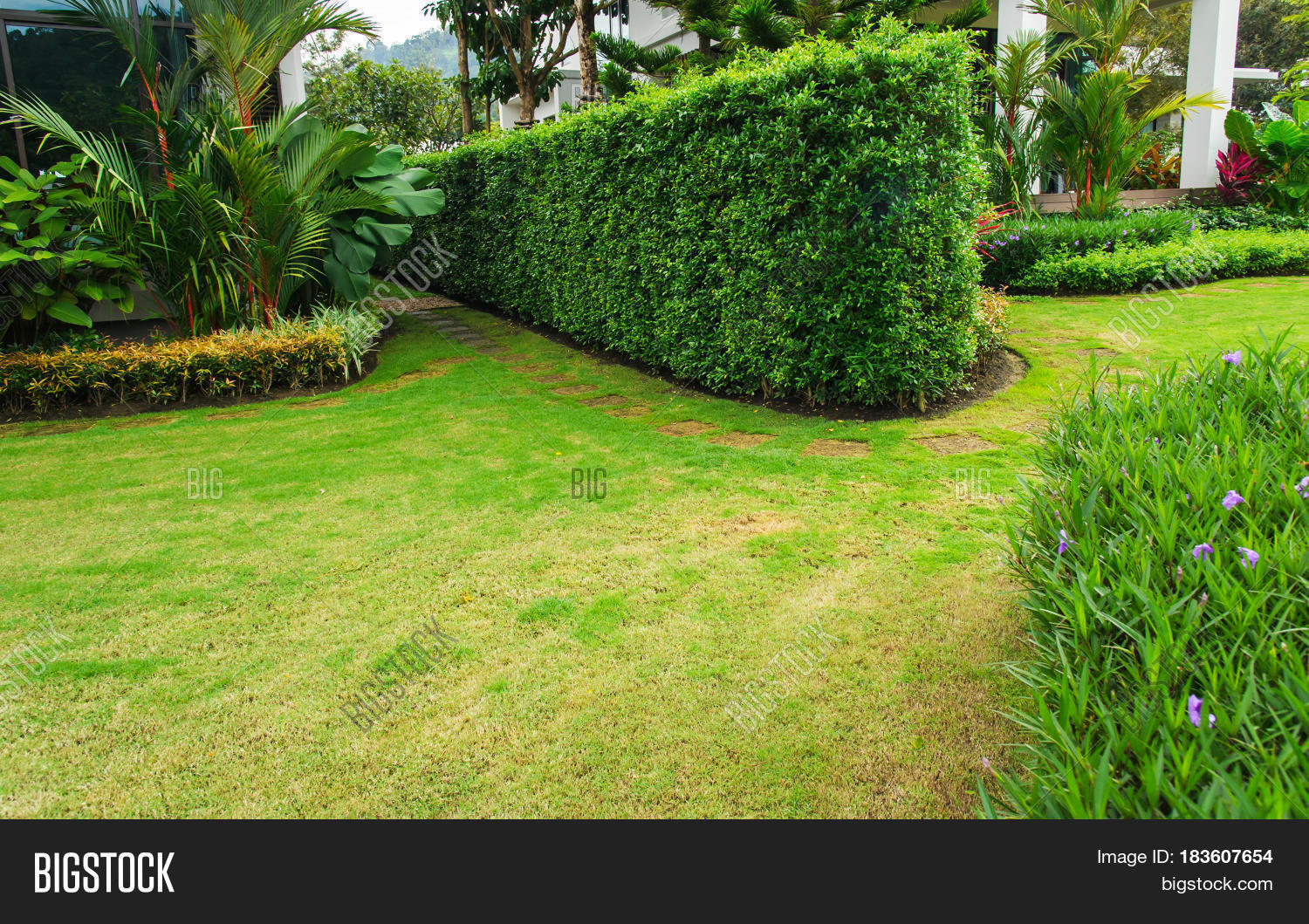 Lawn Shrubs Trimmed Perfectly Image & Photo Bigstock