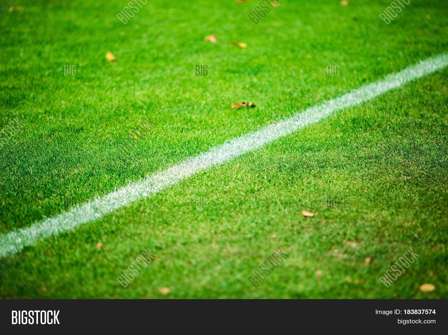 Grass Chalk Line On Football Pitch Image & Photo Bigstock