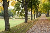 stock photo of buildings  - Estate in autumn colors - JPG 
