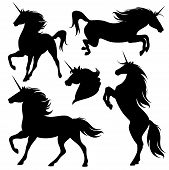 picture of horse  - set of fine unicorn silhouettes  - JPG 