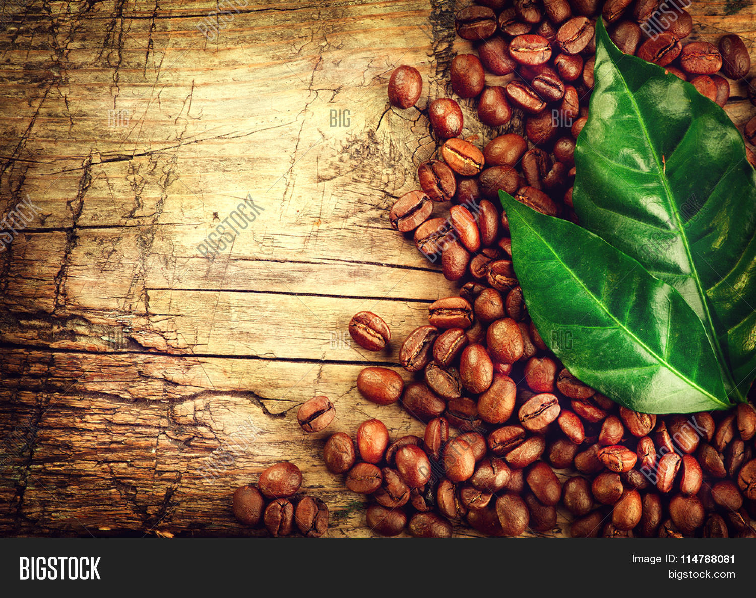 Coffee Beans Background Coffee Beans Background