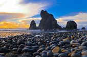picture of beach  - Rugged rocky coast of Ruby Beach in Washington State - JPG 