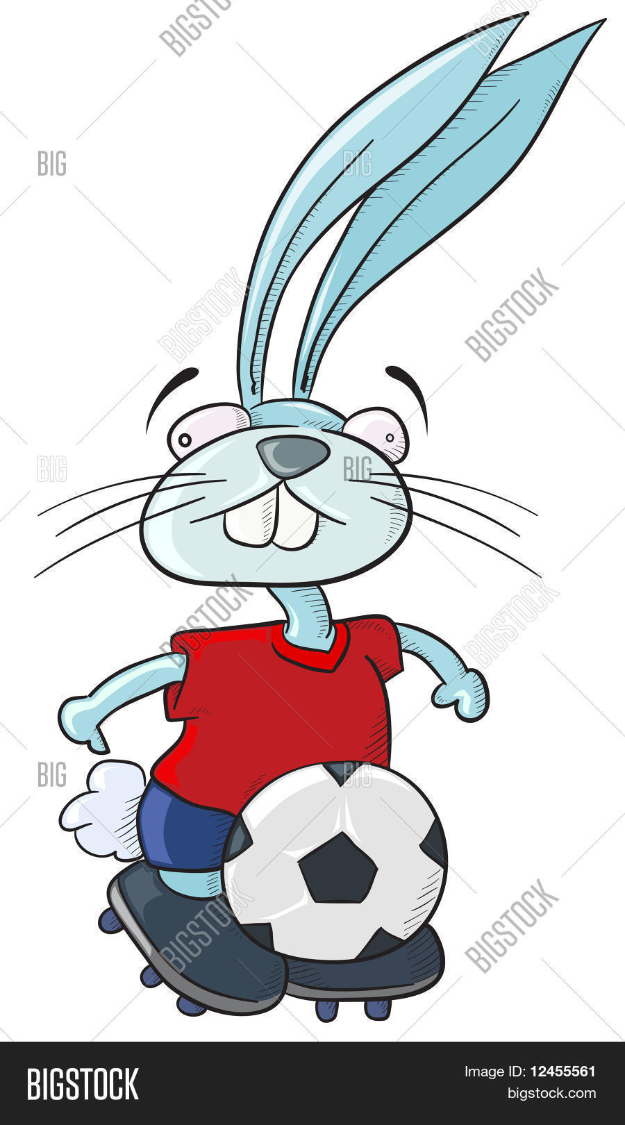 Football soccer Bunny Stock Vector & Stock Photos Bigstock