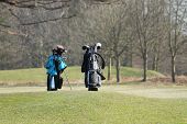 image of golf  - Two Golf Bags Standing During a Golfing Round - JPG 