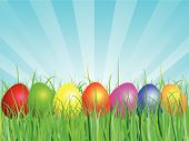 stock photo of blue sky  - Colourful easter eggs in grass against blue sky - JPG 