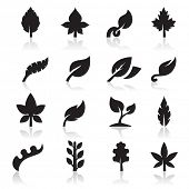 stock photo of surreal  - Leaf icon - JPG 