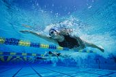 stock photo of competition  - Female participants gushing through water in swimming competition - JPG 