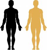 foto of outline  - Human body on separate layers - JPG 