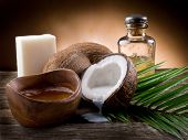 stock photo of nature  - natural coconut walnut oil - JPG 