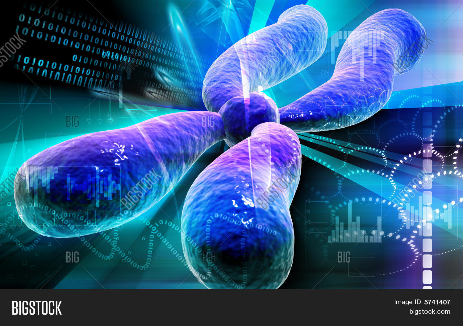 Chromosome Stock Photo & Stock Images | Bigstock