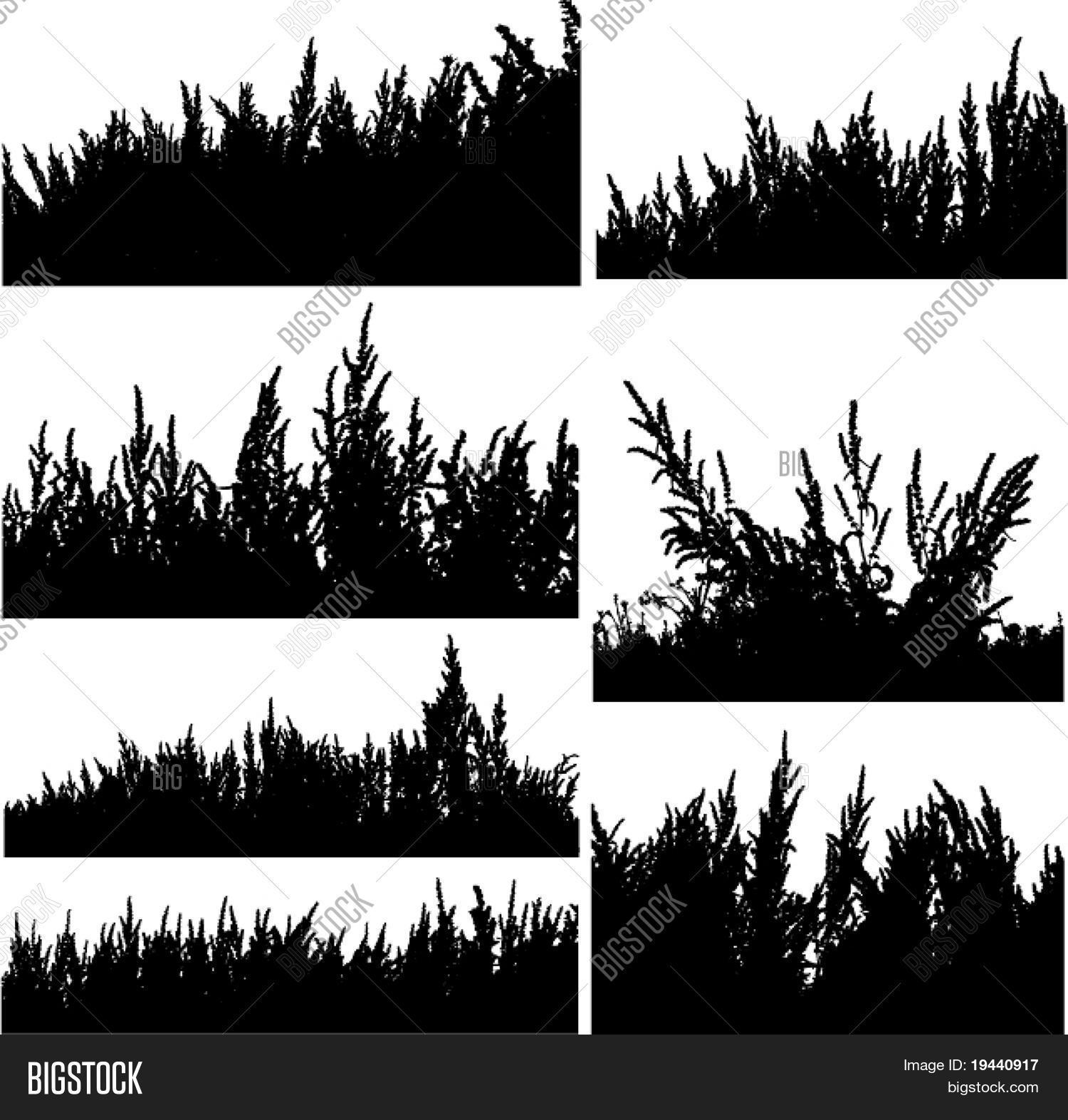 Bush Silhouette Vector - Elements Vector & Photo | Bigstock