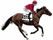 foto of horse  - Vector illustration of a racing horse and jockey - JPG 