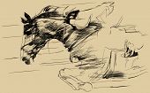 pic of horse  - Vector illustration of a jumping horse and jockey - JPG 