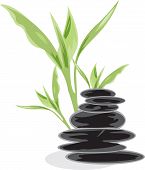pic of zen  - Illustration of zen theme bamboo and black stones - JPG 