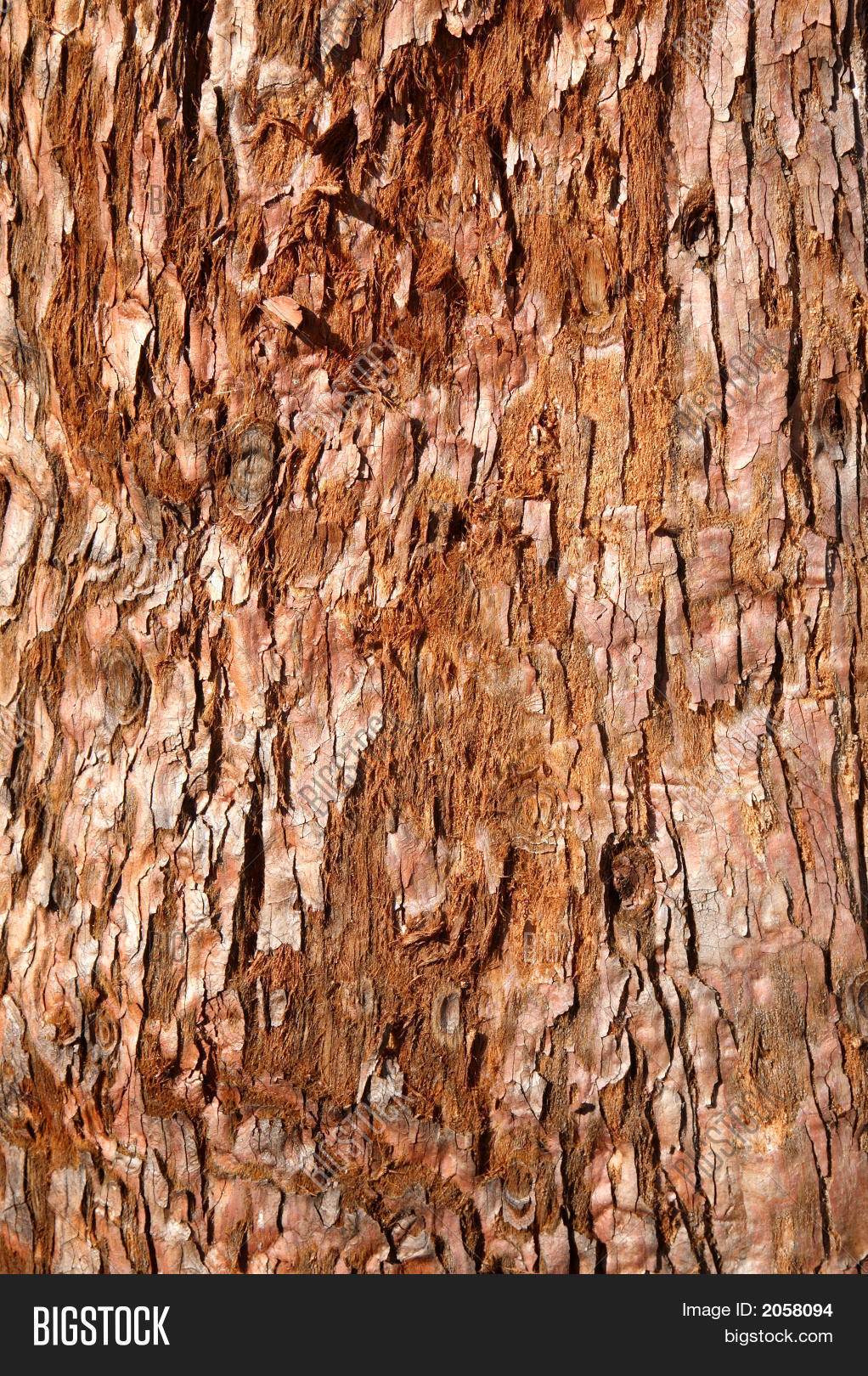 Rough Wood Grain Natural Background Image & Photo Bigstock