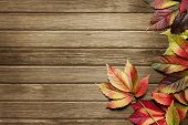 stock photo of nature  - Autumn Leaves Over Wooden Background With Copy Space - JPG 