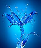 stock photo of water  - Water Flower - JPG 