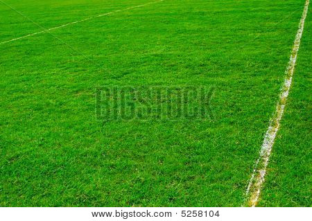 Grass Sport Pitch Background. outdoor football field with white painted 