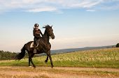 picture of horse  - Equestrienne rides at a gallop across the field - JPG 