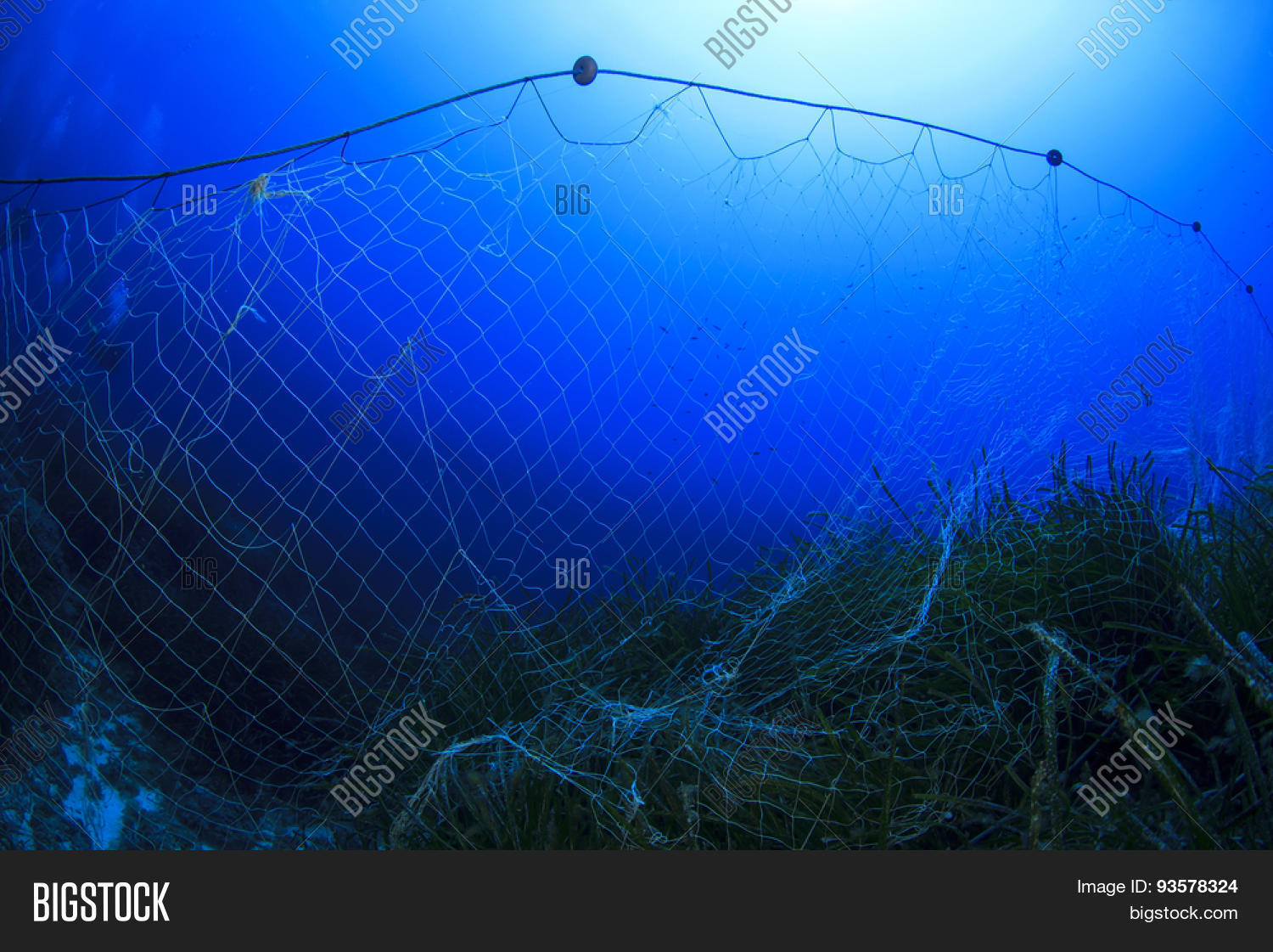 Abandoned Fishing Net Underwater Image & Photo Bigstock