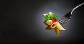 image of food  - Macaroni pasta with tomato and basil on fork - JPG 