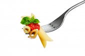 image of food  - Macaroni pasta with tomato and basil on fork isolated on white background - JPG 