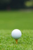image of golf  - A close - JPG 