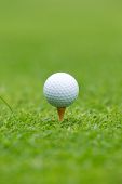 picture of golf  - A close - JPG 