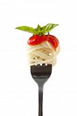 picture of food  - Spaghetti with sauce and parmesan cheese on a fork - JPG 
