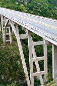 pic of bridge  - Tall bridge over a green tropical valley - JPG 