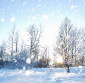 stock photo of winter  - Winter landscape with snow - JPG 