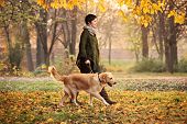 picture of walking  - A girl and her dog  - JPG 