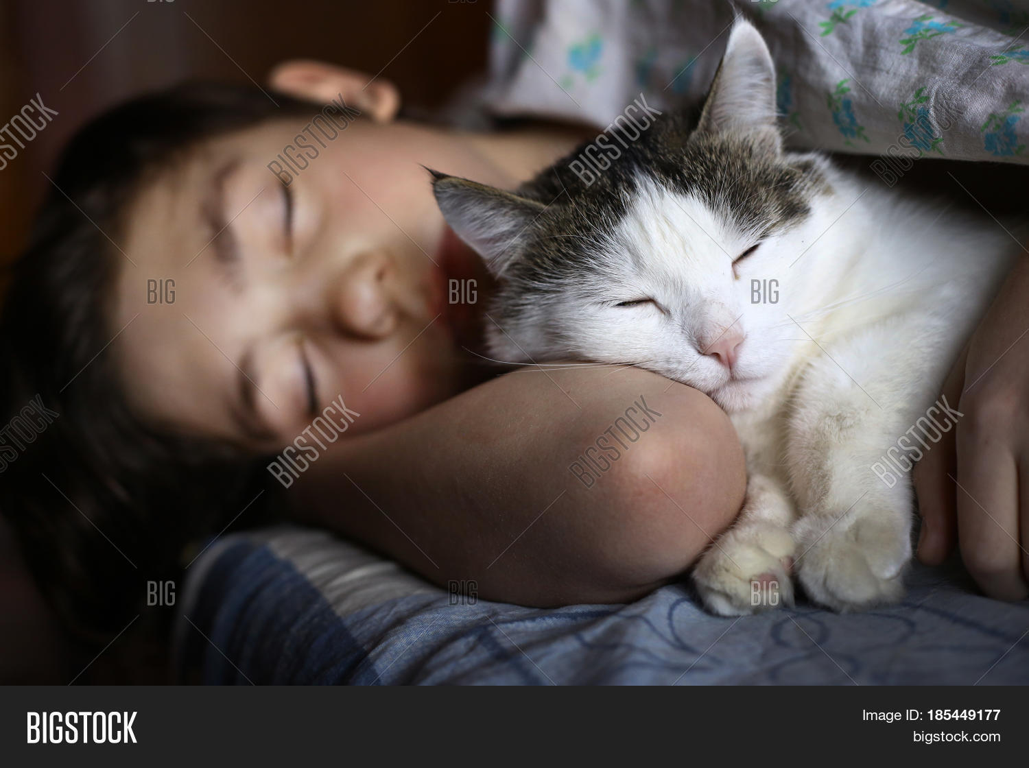 Sleeping Teen And Cat 65