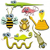 picture of animals  - VECTOR  - JPG 