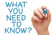 stock photo of answer  - What You Need To Know and hand holding blue marker - JPG 