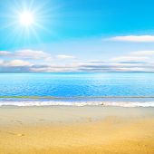 stock photo of beach  - beach under sun - JPG 