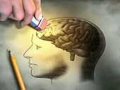 image of science  - Someone is erasing a drawing of the human brain - JPG 