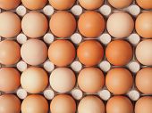 foto of food  - Fresh eggs in container can be used as a background - JPG 