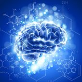 stock photo of cerebellum  - brain - JPG 