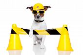 stock photo of construction  - dog under construction with a yellow helmet - JPG 
