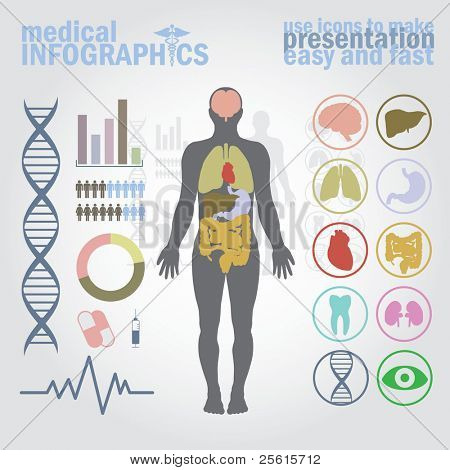 Picture or Photo of Medical infographics. Presentation set. Human body with internal organs plus buttons. Diagram (graph), cardio gram.