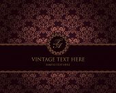 picture of art  - vintage frame on damask background - JPG 