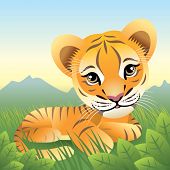 image of animals  - Baby Animal collection: Tiger

More baby animals in my gallery. - JPG 