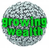 pic of investment  - The words Growing Wealth on a ball made of dollar signs or currency to illustrate accumulating riches through income - JPG 