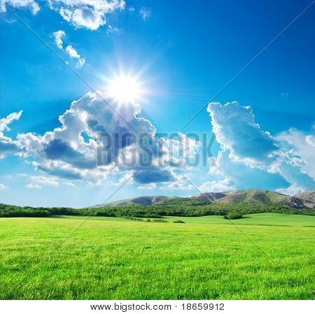 Picture or Photo of Green meadow in mountain. Composition of nature.