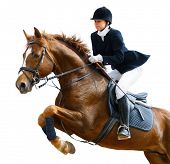 image of equine  - Young girl jumping with sorrel horse  - JPG 