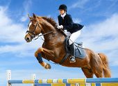 image of horse  - Young girl jumping with sorrel horse - JPG 